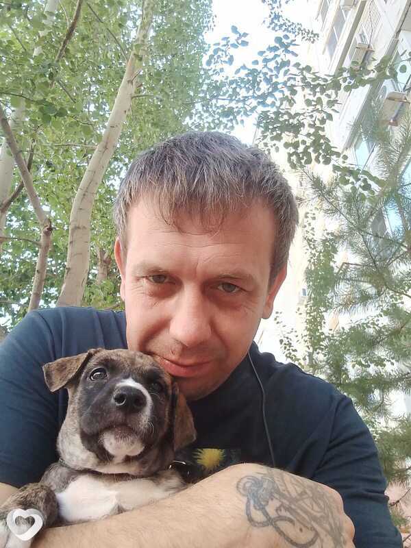 Илюха, Афипский