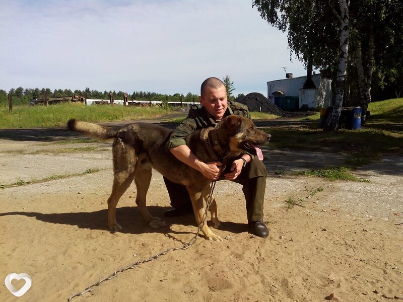 Алексей, Пикалево