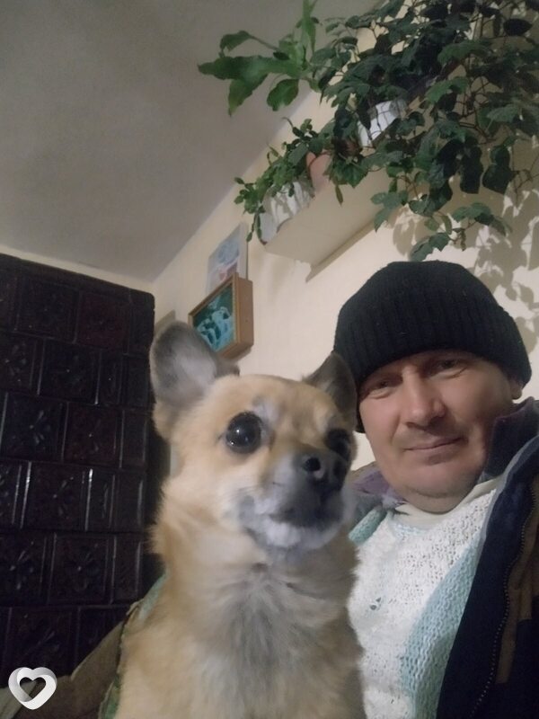 Юліан, Черновцы