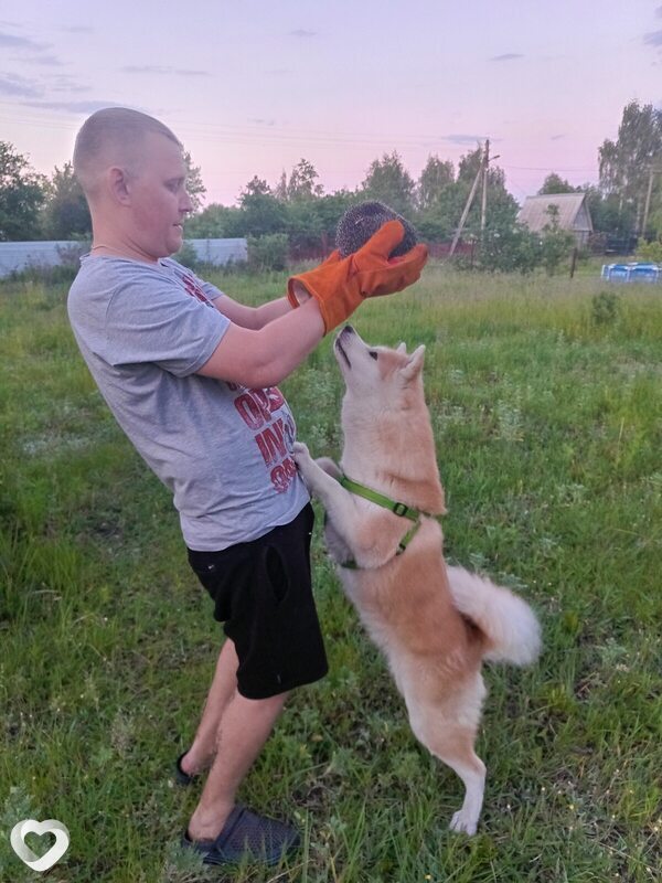 Дмитрий, 36, Воронеже — анкета №3678393