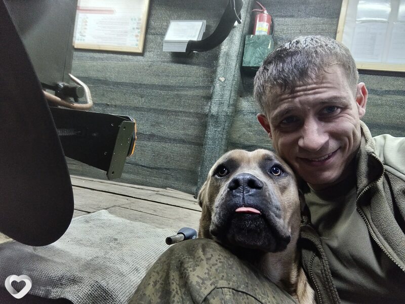 Артем, 35, Донецке — анкета №3680882