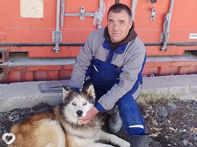 Александр, 51, Челябинске — анкета №3692683