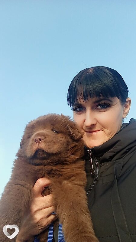 Елена, 43, Новосибирске — анкета №3694269