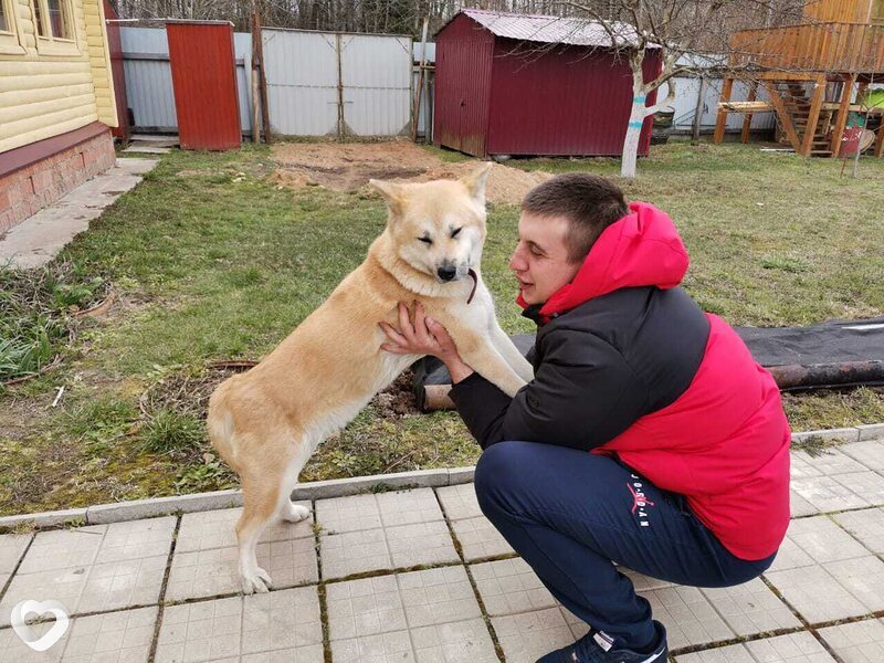 Димон, Строитель (Белгородская Обл)