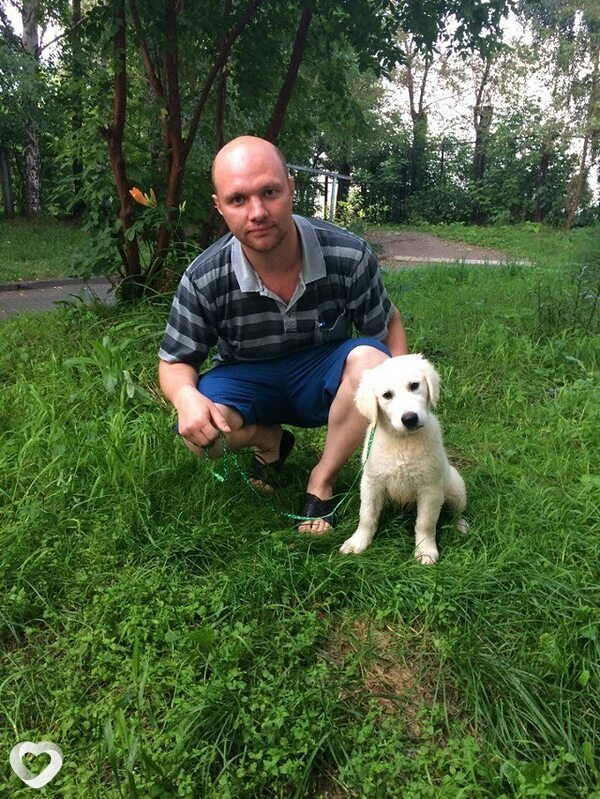 Владимир, 37, Верхней Салде — анкета №3704613