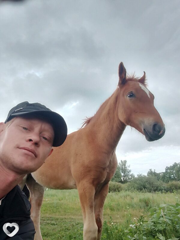 Дмитрий, 33, Лобне — анкета №3705051