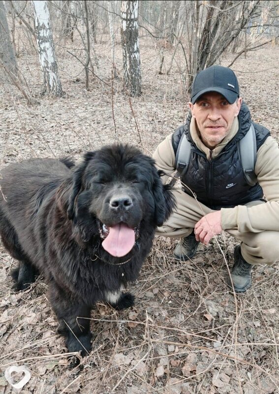 Роман, 40, Казани — анкета №3705467