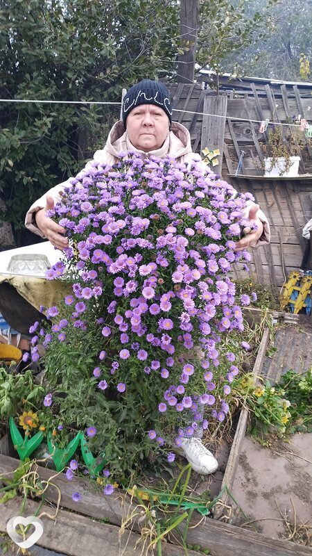 Светлана, 59, Черногорске — анкета №3707397