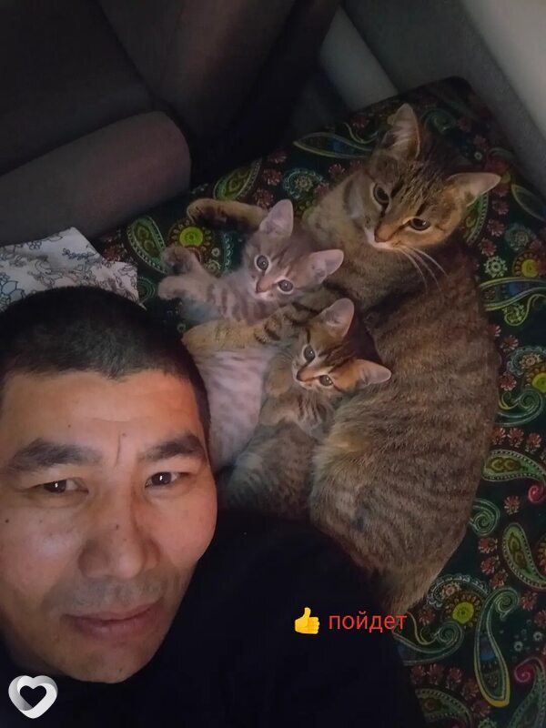 Талгат, 47, Костанае — анкета №3715293