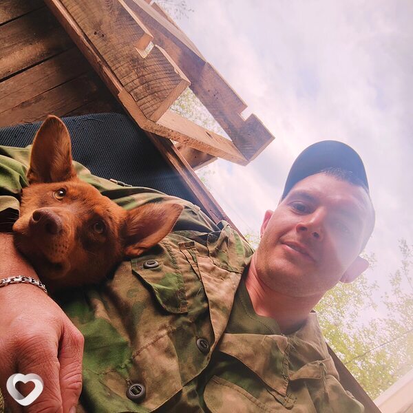 Artem, 31, Пушкино (Московская Обл) — анкета №3720906