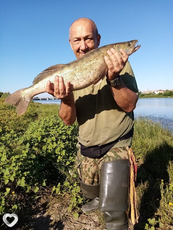 Фархад, 57, Астрахани — анкета №3722267