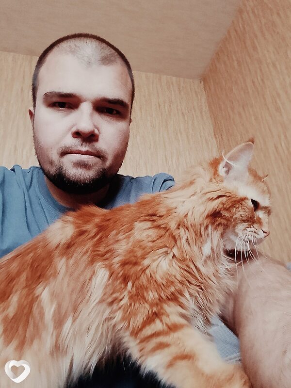 Владимир, 33, Москве — анкета №3724872