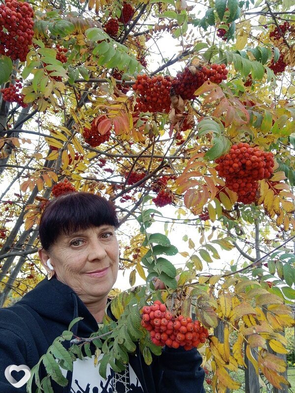 Елена, 55, Новосибирске — анкета №3733717