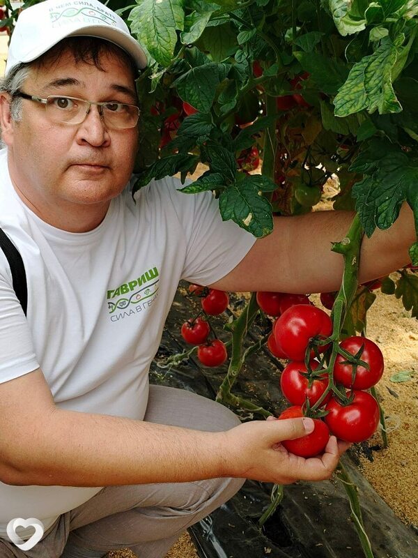 Шамиль, 55, Уфе — анкета №3735641