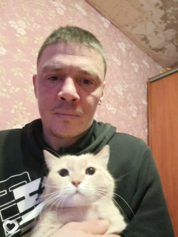 Тема, 39, Петрозаводске — анкета №3739082