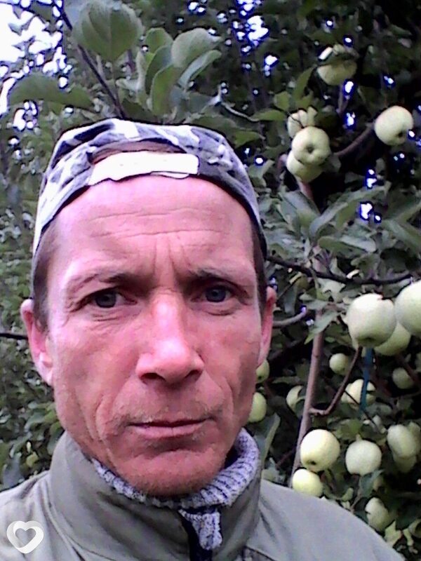 Александр, Табуны