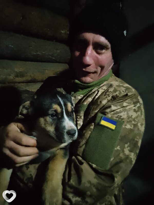 Вадім, Жашков