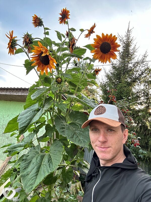 Alexandr, 32, Подольске — анкета №3750930
