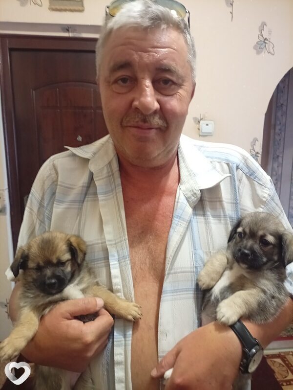 Александр, 59, Евпатории — анкета №3758181