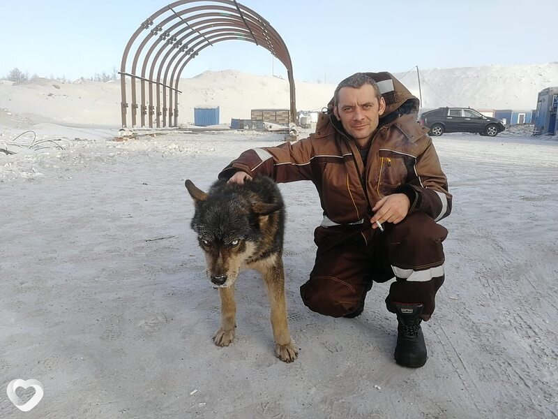 Дмитрий, 44, Норильске — анкета №3763627