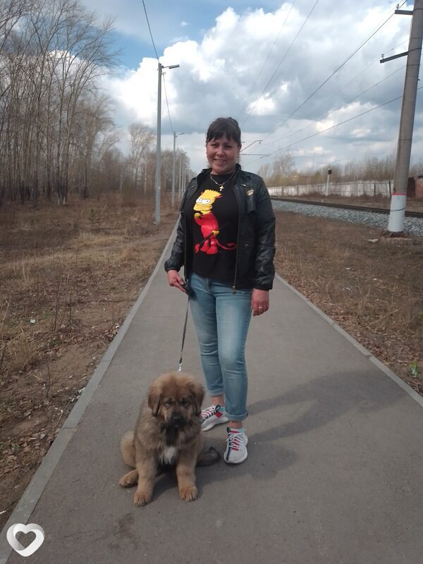 Елена, 38, Перми — анкета №3765244
