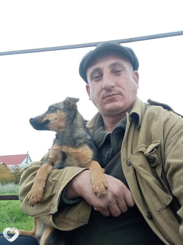 Arlen, Нижнегорский