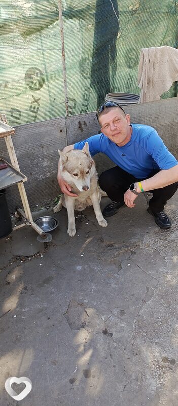Алексей, 48, Днепр — анкета №3768639