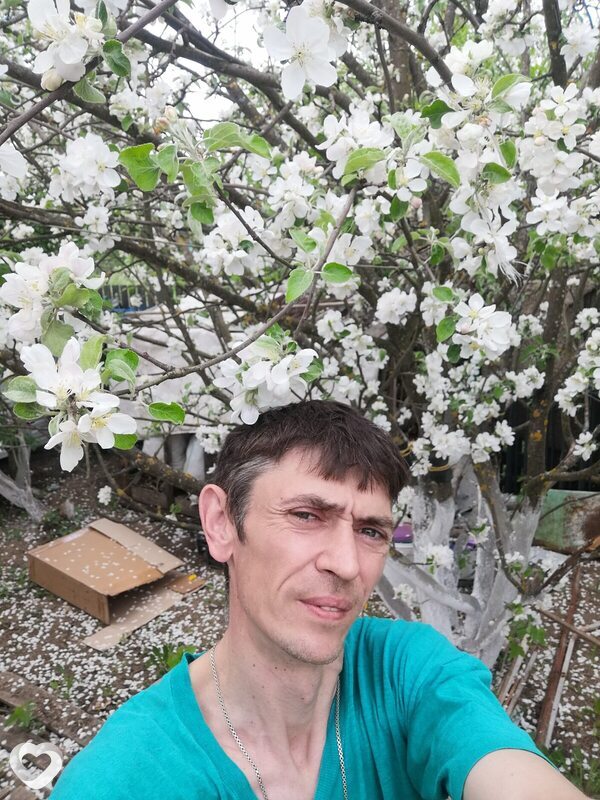 Андрей, 41, Вологде — анкета №3778951