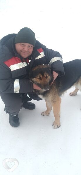 Юрий, Стрежевой