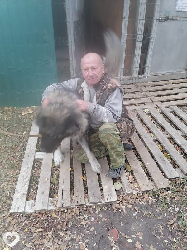 Олег, 63, Самаре — анкета №3781537