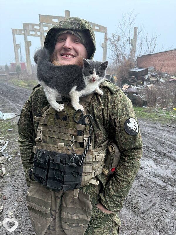 German, 28, Волгограде — анкета №3784089