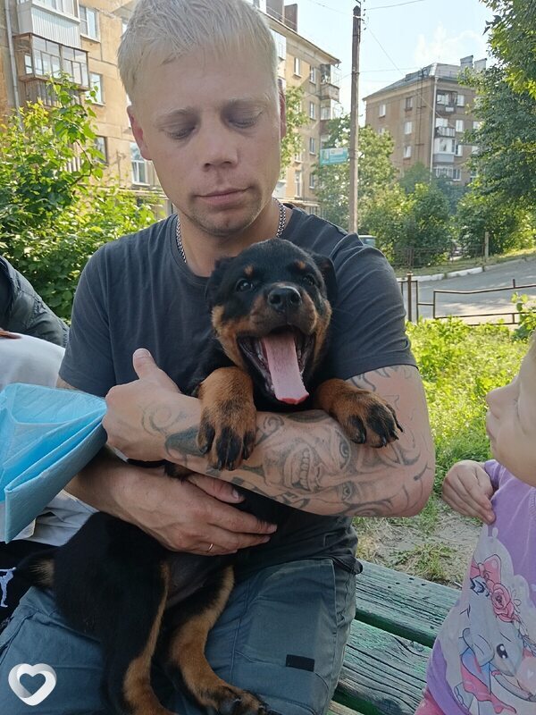 Сергей, 33, Нижнем Тагиле — анкета №3785092