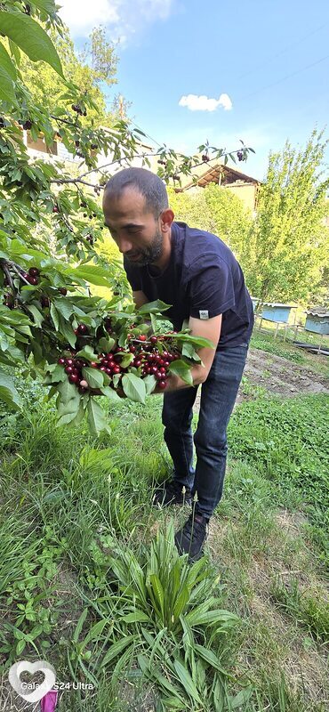 Нурлан, 36, Выборге — анкета №3788218
