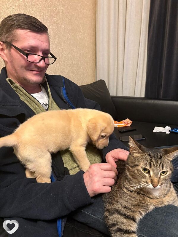 Дмитрий, 51, Мурманске — анкета №3792655
