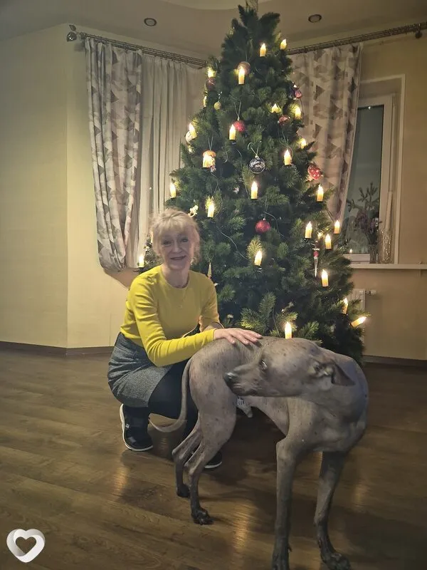 Елена, 48, Москве — анкета №3794095