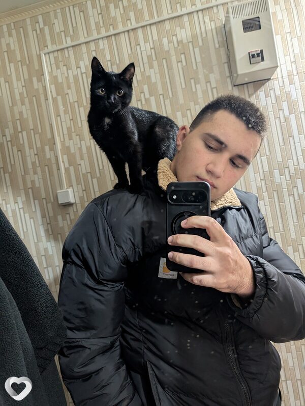Макс, 25, Воронеже — анкета №3799726