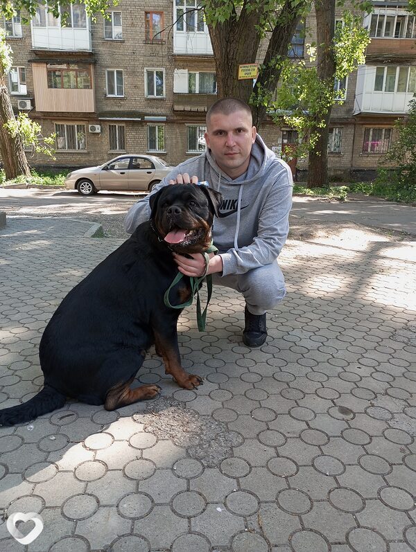 Роман, Волоконовка