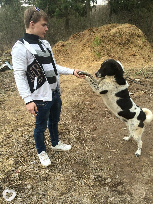 Николай, 28, Солнечногорске — анкета №3802180