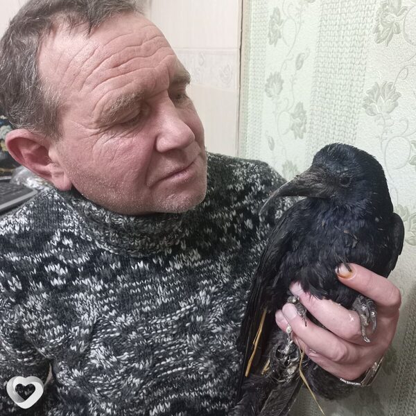Nikolay, 51, Тюмени — анкета №3804808