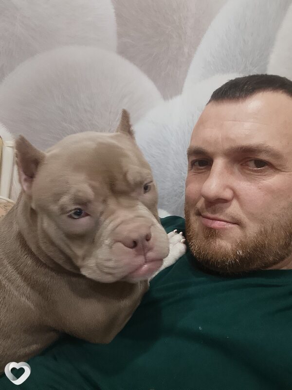 Сергей, 43, Ступине — анкета №3813862