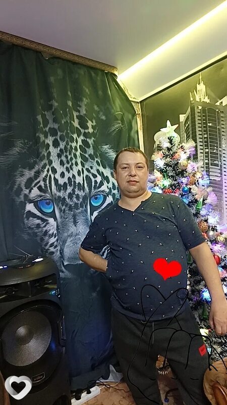 Денчик, Тайга