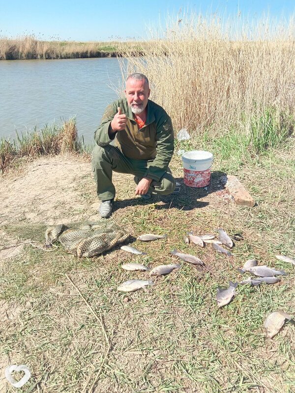 Холост, 53, Краснодаре — анкета №3816083