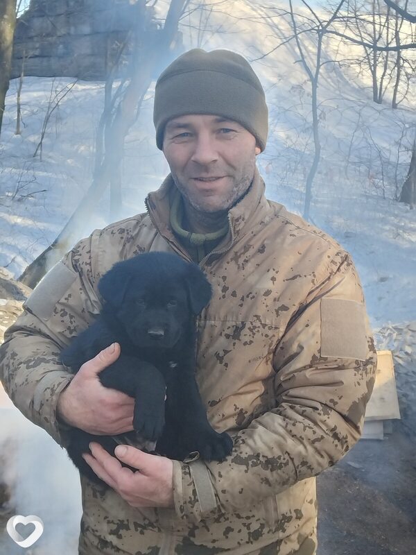 Микола, 38, Николаеве — анкета №3820021