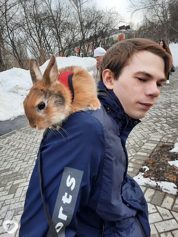 Константин, 25, Кемерове — анкета №3820572