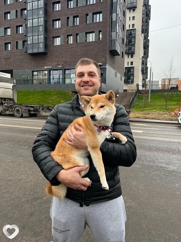 Дмитрий, 34, Москве — анкета №3825845