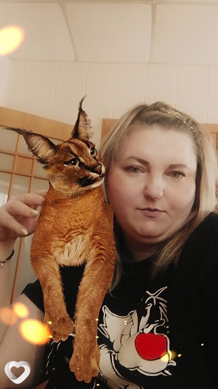 Света, Тында