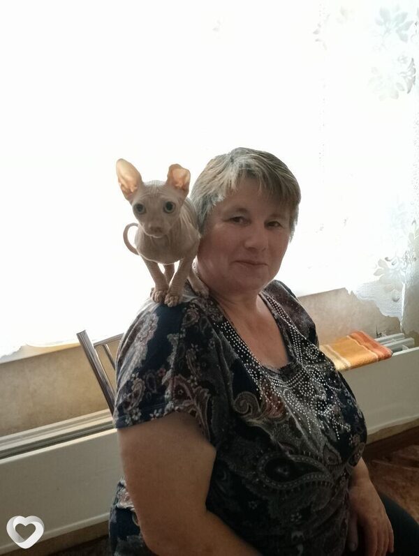 Стелла, Вейделевка