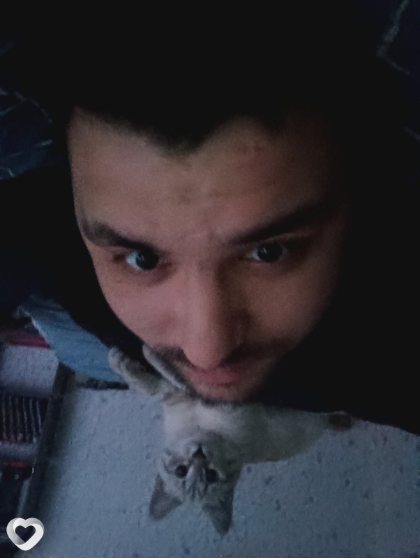 Динис, 29, Челябинске — анкета №3830410