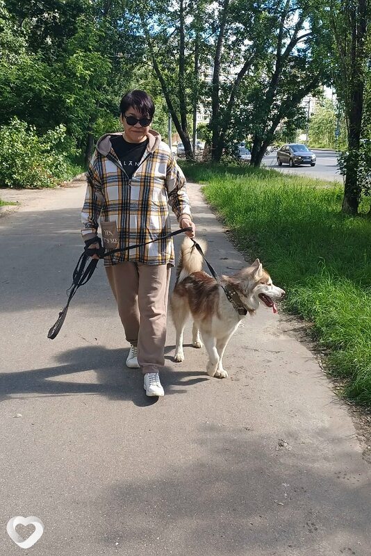 Жанна, 52, Нижнем Новгороде — анкета №3831013