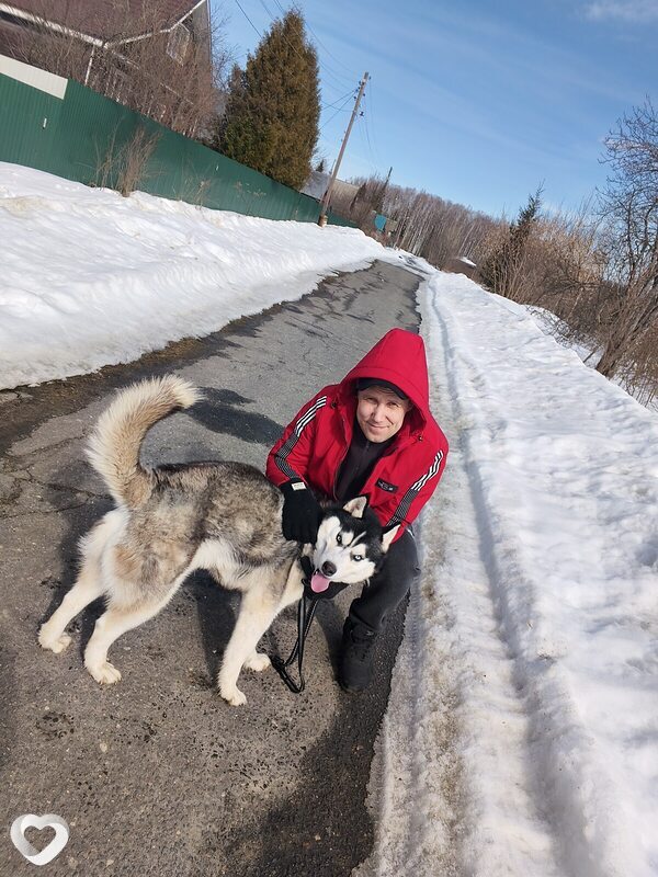 Алексей, 39, Нижнем Новгороде — анкета №3840140